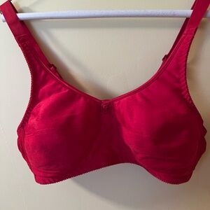 Mastectomy bra.
